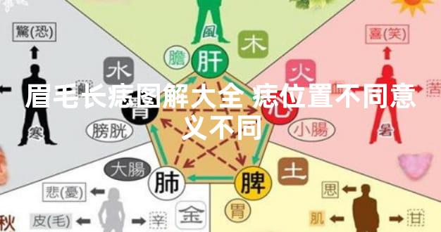 眉毛长痣图解大全痣位置不同意义不同